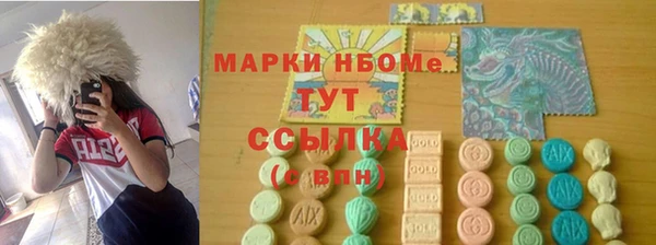 гашик Верея