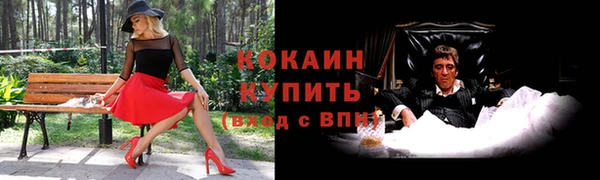 гашик Верея