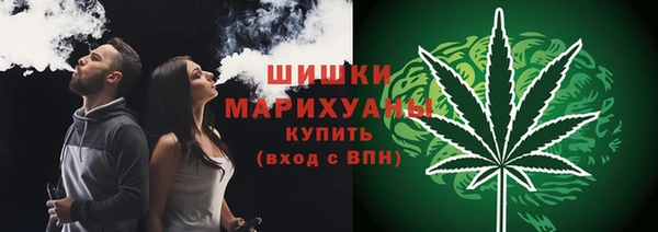 хмурый Верхний Тагил