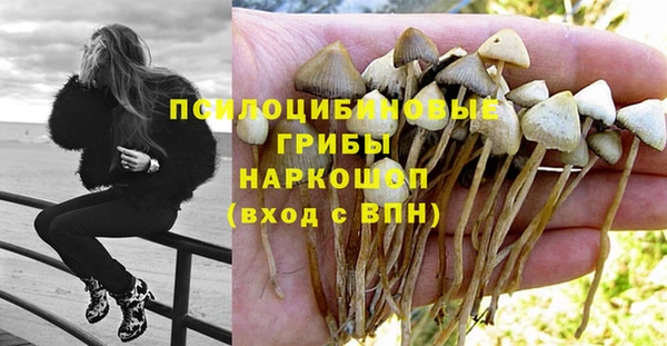 бошки Верхнеуральск