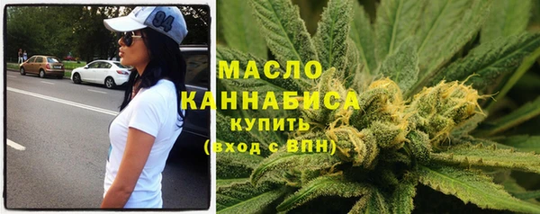 гашик Верея