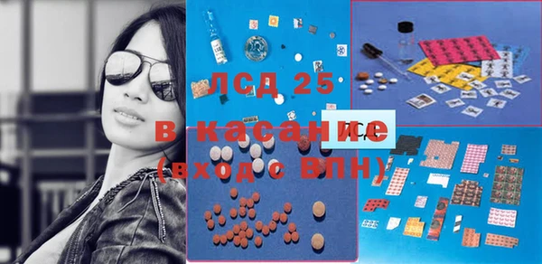 гашик Верея