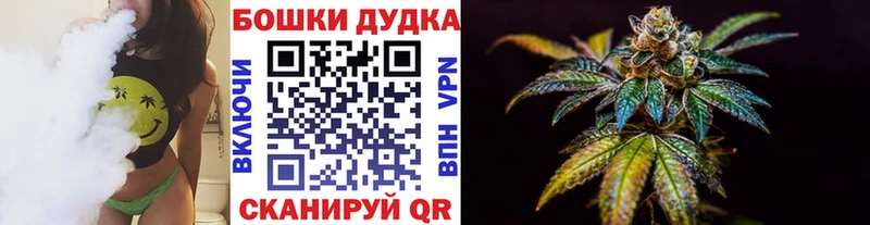 Бошки Шишки ГИДРОПОН  сколько стоит  Новоузенск 